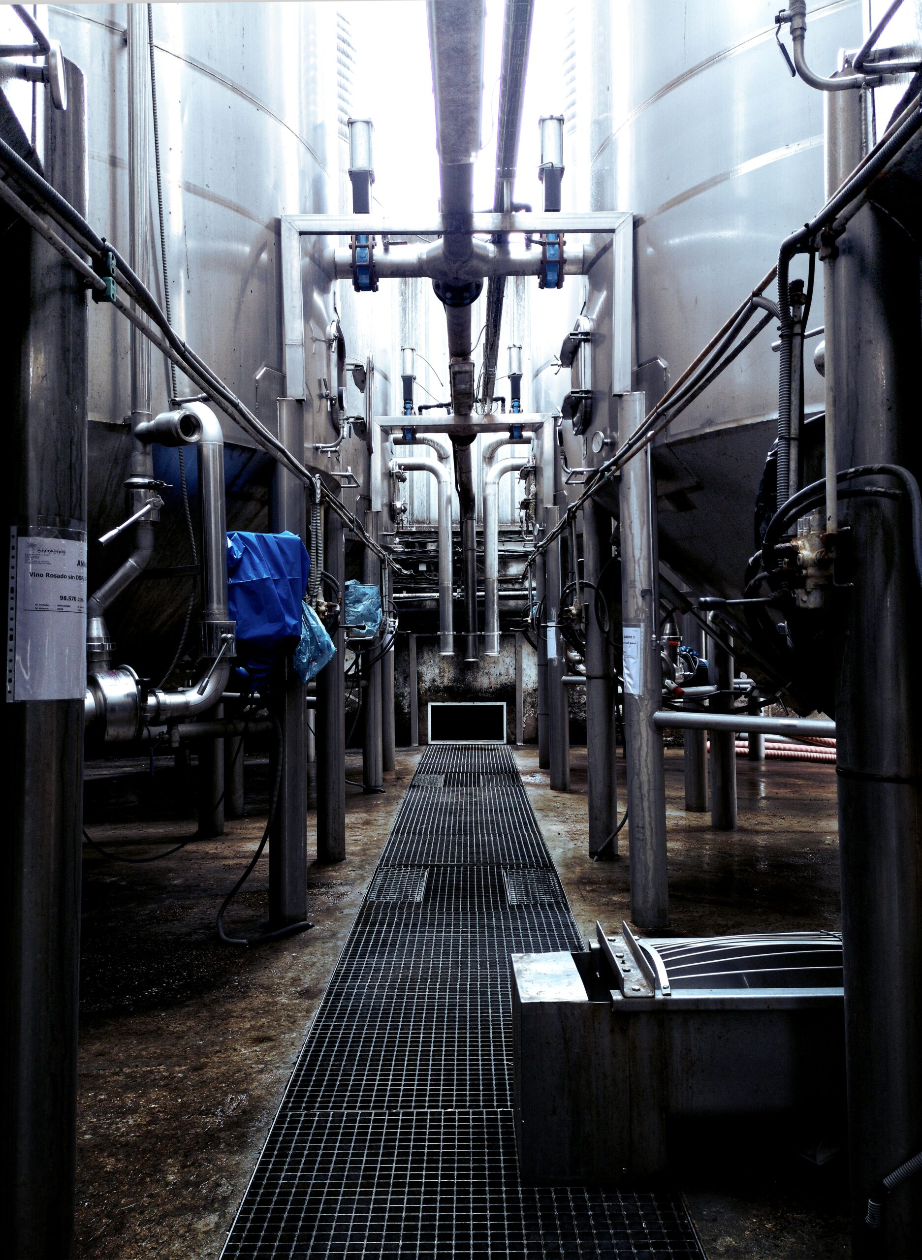 Industrial facility interior showcasing stainless steel fermentation tanks, pipes, and drainage grates, highlighting the production process context.